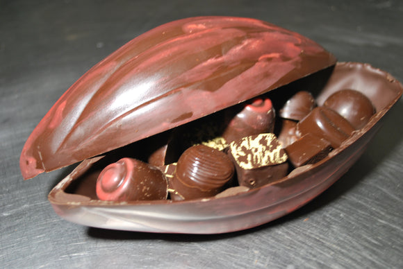 Cabosse - chocolat noir